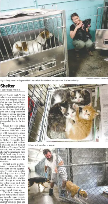  ?? STAFF PHOTOS BY DOUG STRICKLAND ?? Alycia Feely meets a dog outside its kennel at the Walker County Animal Shelter on Friday. Kittens rest together in a cage. Kevin Key takes a dog out of a kennel Friday to meet its potential new family.