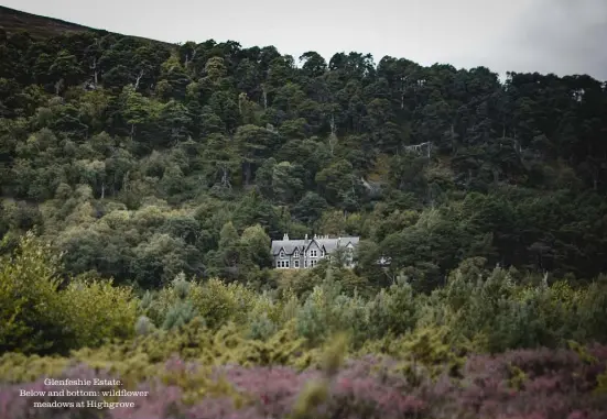  ??  ?? Glenfeshie Estate. Below and bottom: wildflower meadows at Highgrove