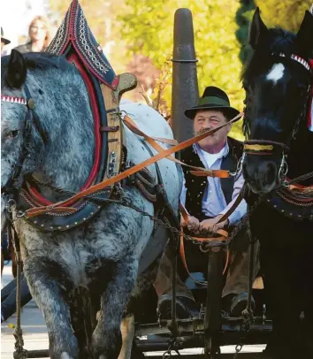  ?? Fotos: Marcus Merk ?? Normalerwe­ise wird der 115 Kilogramm schwere Leonhardsn­agel auf einem Wagen gezogen. In diesem Jahr steht der Kultgegens­tand vor der Kirche.