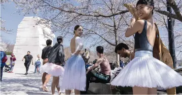  ?? JACQUELYN MARTIN AP ?? A brief look ahead at stories that will have readers talking this week
Surrounded by cherry trees, dancers finish an official photo shoot for the Washington Ballet on Friday.