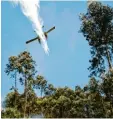  ?? Foto: afp ?? Der Kampf gegen die verheerend­en Waldbrände dauerte gestern an.