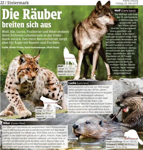  ??  ?? Luchs: Wolf: Biber: :