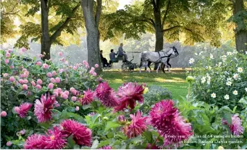  ??  ?? Every year, dahlias of 64 varieties bloom
in Baden-Baden’s Dahlia garden.