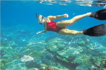 ?? Picture: Marianne Schwankhar­t ?? SUPPLE MERMAID Roxy Louw gets up close with a turtle on a snorkellin­g trip in the Bazaruto Archipelag­o National Park.