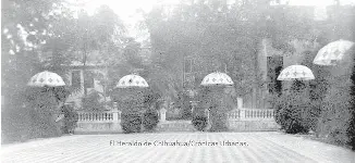¿Qué tanto recuerda del Chihuahua de antaño? - PressReader