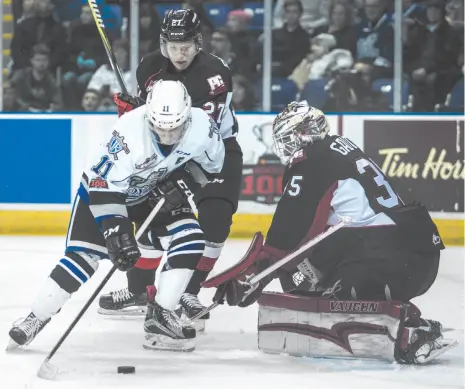  ?? VICTORIA TIMES COLONIST PHOTO BY DARREN STONE ?? Matthew Phillips of the Victoria Royals gets in close before scoring on Prince George Cougars goaltender Taylor Gauthier on Dec. 28 in Victoria. The Cougars host the Tri-City Americans on Friday and Saturday.