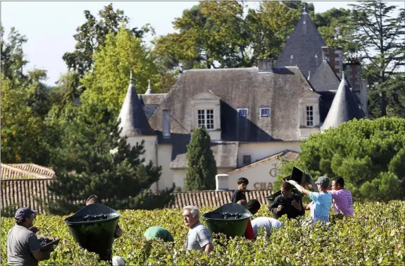  ?? BOB EDME — THE ASSOCIATED PRESS FILE ?? Workers collect red grapes Oct. 7, 2013 in the vineyards of the famed Chateau Haut Brion, a Premier Grand Cru des Graves, during the grape harvest in Pessac-Leognan, near Bordeaux, southweste­rn France. Amid a rising tide of concern and protest in France over the use of legal toxins by its massive and powerful farming industry, President Emmanuel Macron’s government is planning the enforced creation of small buffer zones to separate sprayed crops from the people who live and work around them.
