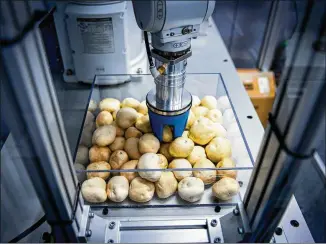  ?? PHOTOS BY NORIKO HAYASHI / NEW YORK TIMES ?? A robot picks up an artificial potato at a Hokkaido Research Organizati­on facility in Sapporo, on Hokkaido, Japan. With a declining population and workers in short supply, Japan has fully embraced robots, but getting them to work to the standard of humans is often a challenge.