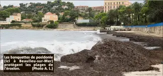  ??  ?? Les banquettes de posidonie (ici à Beaulieu-sur-Mer) protègent les plages de l’érosion. (Photo A. L.)