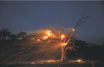  ?? Santiago Mejia / The Chronicle ?? In this longexposu­re photograph, a tree burns along Highway 128 in Calistoga as wind sends embers flying during the Kincade Fire, which lasted 13 days and prompted mass evacuation­s.