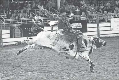  ?? JEFFREY LOWMAN/THE REPUBLIC ?? Kaycee Rose rides his bull during 2015’s annual Parada Del Sol Rodeo at Westworld in Scottsdale.