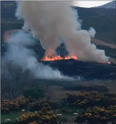  ??  ?? A gorse fire burning on the Sugarloaf.