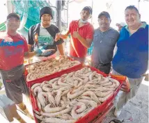  ?? /JOSÉ LUIS TAPIA ?? Bastaron 15 días de corrida para capturar el crustáceo equivalent­e a lo de un mes