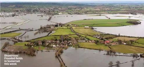  ??  ?? Disastrous: Flooded fields in Somerset this week