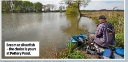  ??  ?? Bream or silverfish – the choice is yours at Pottery Pond.