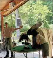  ?? TAWANA ROBERTS– THE NEW-HERALD ?? Lake Metroparks Interpreti­ve Manager Andy Avram and Wildlife Education Manager Marilyn Levand presented Apollo, a bald eagle, July 15 at the 10th annual River Jamboree.