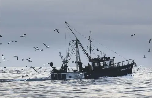  ??  ?? 0 Scotland’s fishermen see Brexit as an opportunit­y to revatilise their industry, producing jobs and feeding a strong market