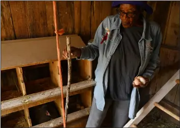  ?? RJ SANGOSTI — THE DENVER POST ?? Alice Mcdonald, 88, pictured on Tuesday, raises chickens and donates their eggs to her church’s food bank in Manzanola. In 1915, Mcdonald’s parents homesteade­d in the Manzanola area.