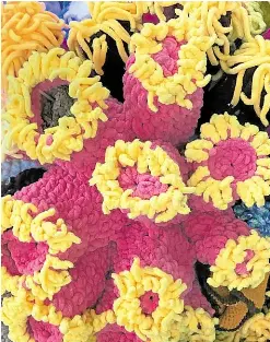  ?? —PHOTOS BY ALYA B. HONASAN ?? Colorful, still healthy “corals” on a reef