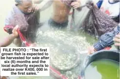  ?? ?? FILE PHOTO : “The first grown fish is expected to be harvested for sale after six (6) months and the local authority expects to realize over K400, 000 in the first sales.”