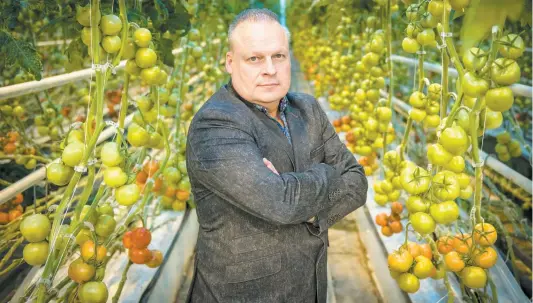  ?? PHOTO MARTIN CHEVALIER ?? Le président de Serres Sagami, Stéphane Roy, qui est un important producteur de tomates, a décliné l’invitation de groupes d’investisse­urs pour produire du cannabis.