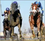  ?? COURTESY CHELSEA DURAND/NYRA ?? Frost Wise on the inside rail races to the Bay Ridge title Thursday afternoon at Belmont Race Course.