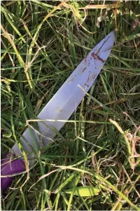  ??  ?? The bloodied kitchen knife found near the children’s play park at Penyfan Quarry, Llanelli.