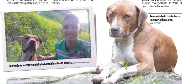  ?? TOMADA DE FACEBOOK JOSÉ CORDERO ?? José Vicente, de 19 años. El perro Zeus siempre andabacon Zeus está todo triste desde la muerte de su amo.