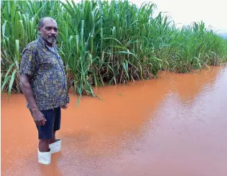  ?? Photo: Shratika Naidu ?? Farmer, Deo Shankaran inspects his farm at Vunivau, Labasa, on March 18, 2024.