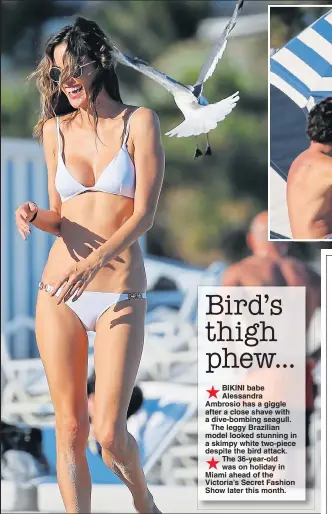  ??  ?? BIKINI babe Alessandra Ambrosio has a giggle after a close shave with a dive-bombing seagull.
The leggy Brazilian model looked stunning in a skimpy white two-piece despite the bird attack. The 36-year-old was on holiday in Miami ahead of the...