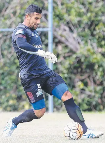  ?? Picture: JONO SEARLE ?? CALL-UP: Roar reserve keeper Jamie Young will face the Phoenix tomorrow.