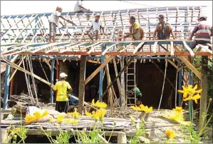  ??  ?? TRADISI : Warga bergotong royong mendirikan rumah sesama Sedulur Sikep di Desa Klopoduwur, Blora. Tradisi tersebut terus dijaga.