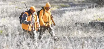  ?? JACQUELINE DORMER/AP ?? Shawn Gemmell, left, of Saint Clair, and Joey Hanzok, of Pottsville, head back to camp Nov. 29 after hunting the first Sunday of firearms deer season in New Castle Township.