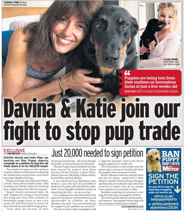  ??  ?? CUDDLE TIME
CLOSE BOND
Do your bit to stop the importing of puppies under six months old...