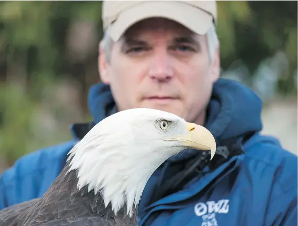  ??  ?? Rob Hope, raptor-care manager with the Orphaned Wildlife Rehabilita­tion Society in Delta, says rat poison is killing birds.