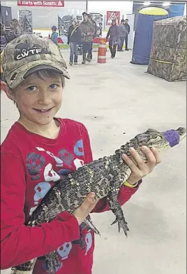  ?? TC MedIa phoTo ?? Waylon Countway learned how to hold an alligator, at last year’s Youth Expo.