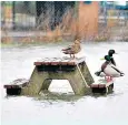  ??  ?? Flooding in Tewkesbury, Gloucester­shire