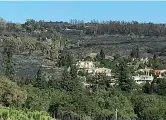  ??  ?? Oggi In ampie zone della Napa Valley il paesaggio è diventato lunare, con boschi inceneriti