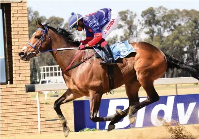  ??  ?? GOOD FORM. Blazing Al has been most consistent and looks to be the horse to beat in Race 2 on the Vaal sand tomorrow.