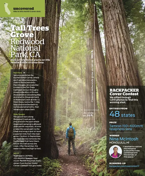 Tall Trees Grove Redwood National Park Ca Pressreader