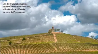  ??  ?? Les dix crus du Beaujolais veulent hisser leurs lieux-dits, ici La Madone à Fleurie, au rang de Premier cru.