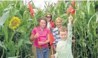  ??  ?? A family negotiate the Wistow Maze.