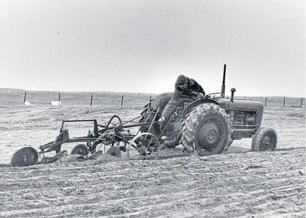  ??  ?? TOUGH JOB: Donald MacDonald, of Baleshare, North Uist, uses a pre Second World War Lister Cockshut plough to work his shallow, sandy soil back in May 1963