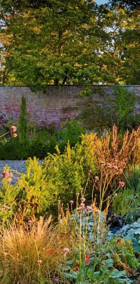  ??  ?? The walled garden takes on its autumn palette, with layers of cool blue, mellow yellow and warm orange catching the fading sunlight.