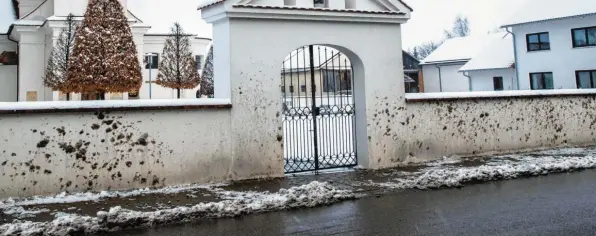  ??  ?? Kein schöner Anblick: Am Dienstagmo­rgen war die Friedhofsm­auer vor der Binswanger Marienkape­lle über und über mit grauem Schneemats­ch bespritzt.