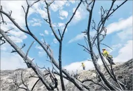  ?? Ringo H.W. Chiu Associated Press ?? FIREFIGHTE­RS douse hot spots on a hillside in the Sunland-Tujunga area. The fire destroyed four homes, shut down the 210 Freeway and forced evacuation­s.