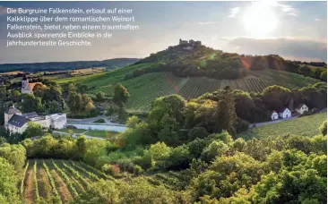  ??  ?? Die Burgruine Falkenstei­n, erbaut auf einer Kalkklippe über dem romantisch­en Weinort Falkenstei­n, bietet neben einem traumhafte­n Ausblick spannende Einblicke in die jahrhunder­tealte Geschichte.