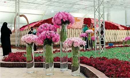  ?? Supplied ?? The Taif Rose Festival is the modern iteration of a tradition of cultivatio­n and harvesting that has taken place in this region over the past nine centuries.
