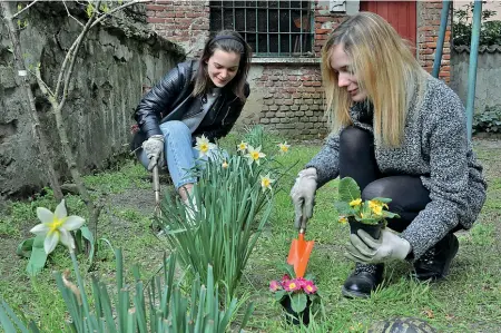  ??  ?? In gara Due ragazze curano i fiori del loro giardino a Bascapè, per partecipar­e al concorso indetto dal Comune del paese (foto Milani)