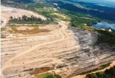  ?? Foto: Kurt Schweizer ?? So sieht der Raubbau an der Natur aus der Luft aus. Vor einiger Zeit stad hier noch in‰ takter Regenwald.